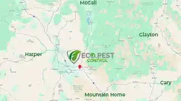 Pest Control Company in Boise, ID